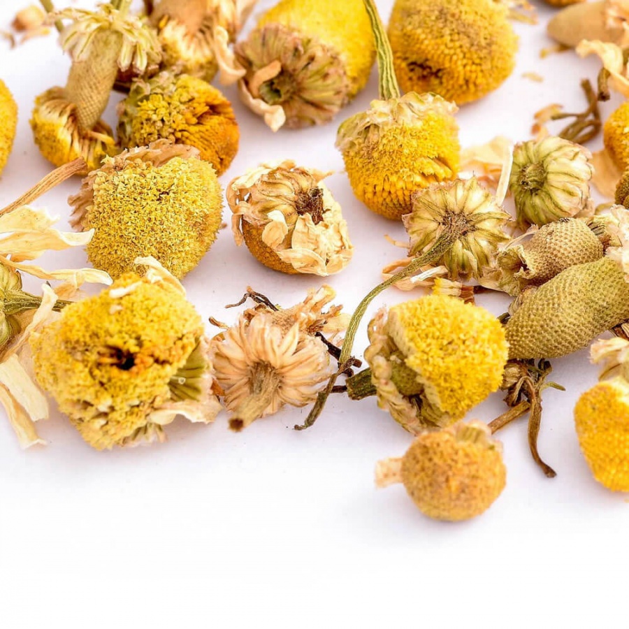 Chamomile Flowers Chamomile Flowers