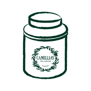 CTH_Icons-32 CTH_Icons-32
