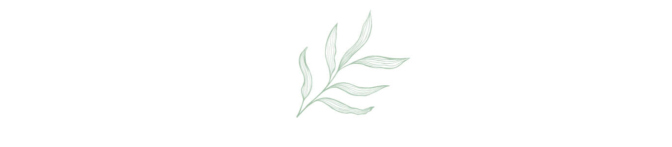 Our ingredients