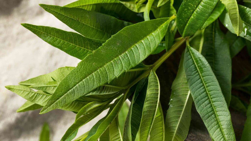 natural remedies