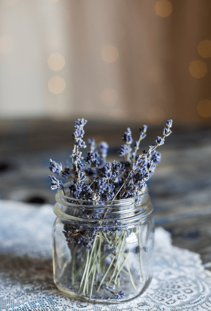 Glass jar of dry lavender flowers for making herbal tea, bunches of dry  lavender. Jars of different dry medicinal herbs on table. Alternative  medicine Stock Photo - Alamy